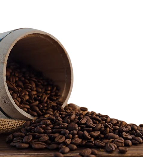 Coffee beans close-up